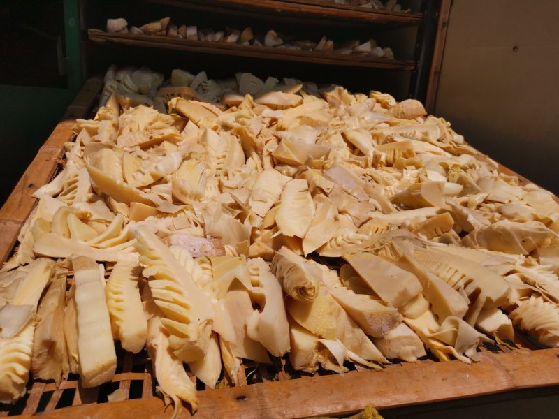 供应酒店食材——福建闽笋干2019年新上市