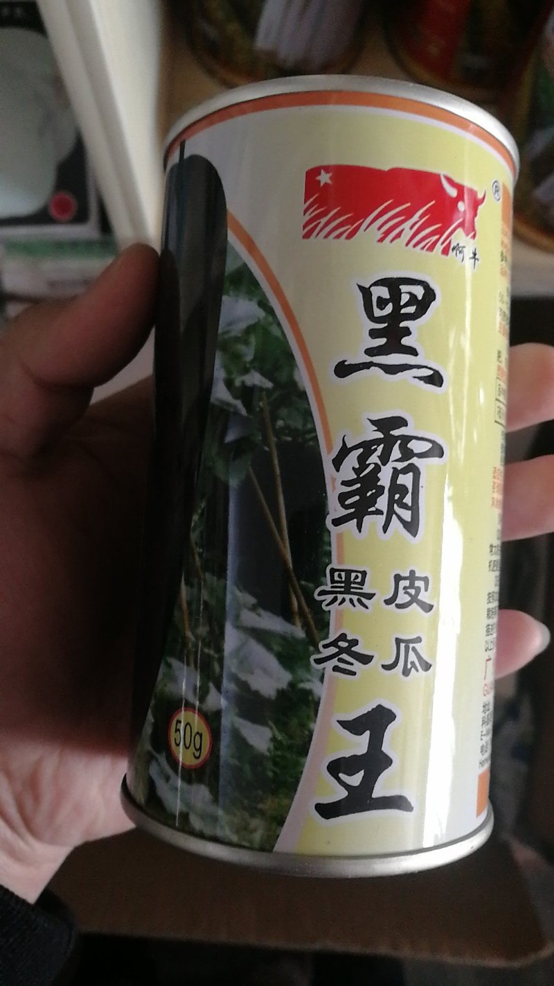 【优质】黑霸王冬瓜种子品质好产量高抗病性好