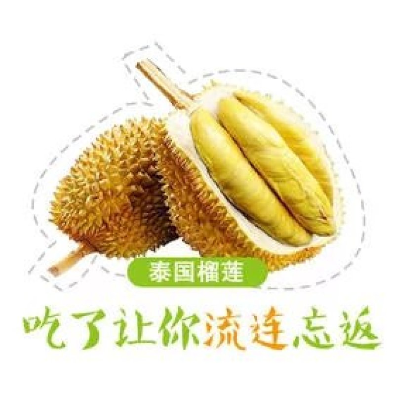 泰国榴莲，金枕，托曼尼。