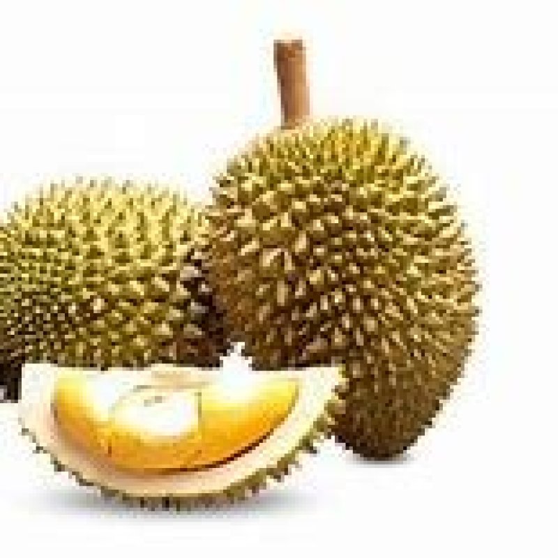泰国榴莲，金枕，托曼尼。