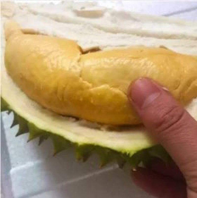 泰国榴莲，金枕，托曼尼。