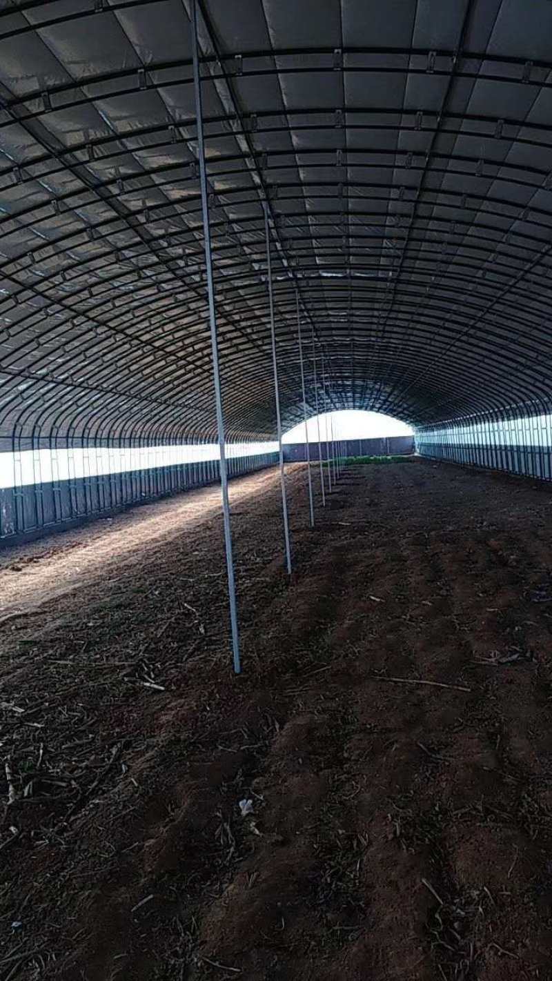 铜仁地区销售大棚骨架蔬菜大棚食用菌大棚养猪大棚
