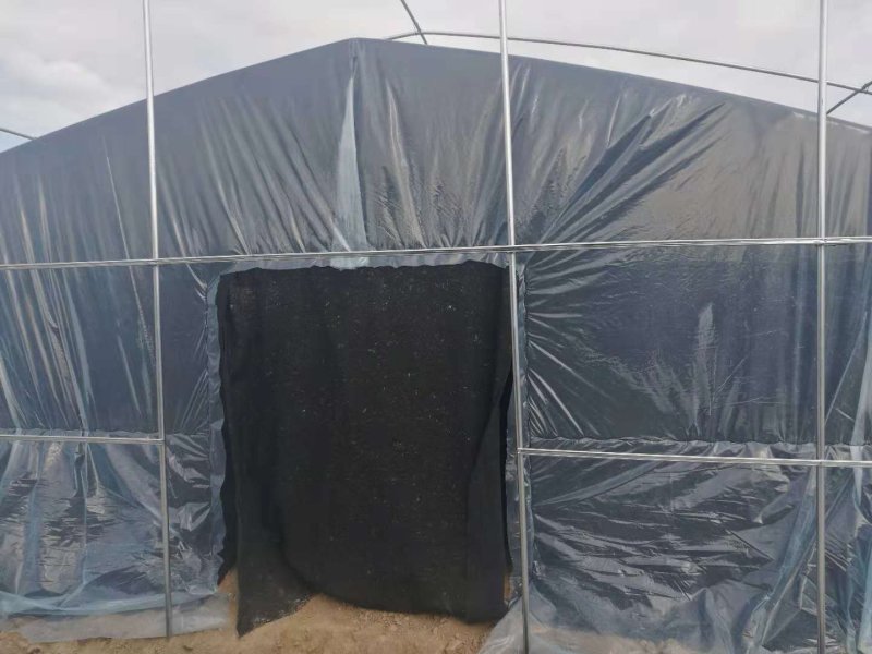 铜仁地区销售大棚骨架蔬菜大棚食用菌大棚养猪大棚