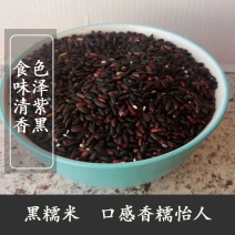 东北大米血糯米黑江米黑米黑黏香大米