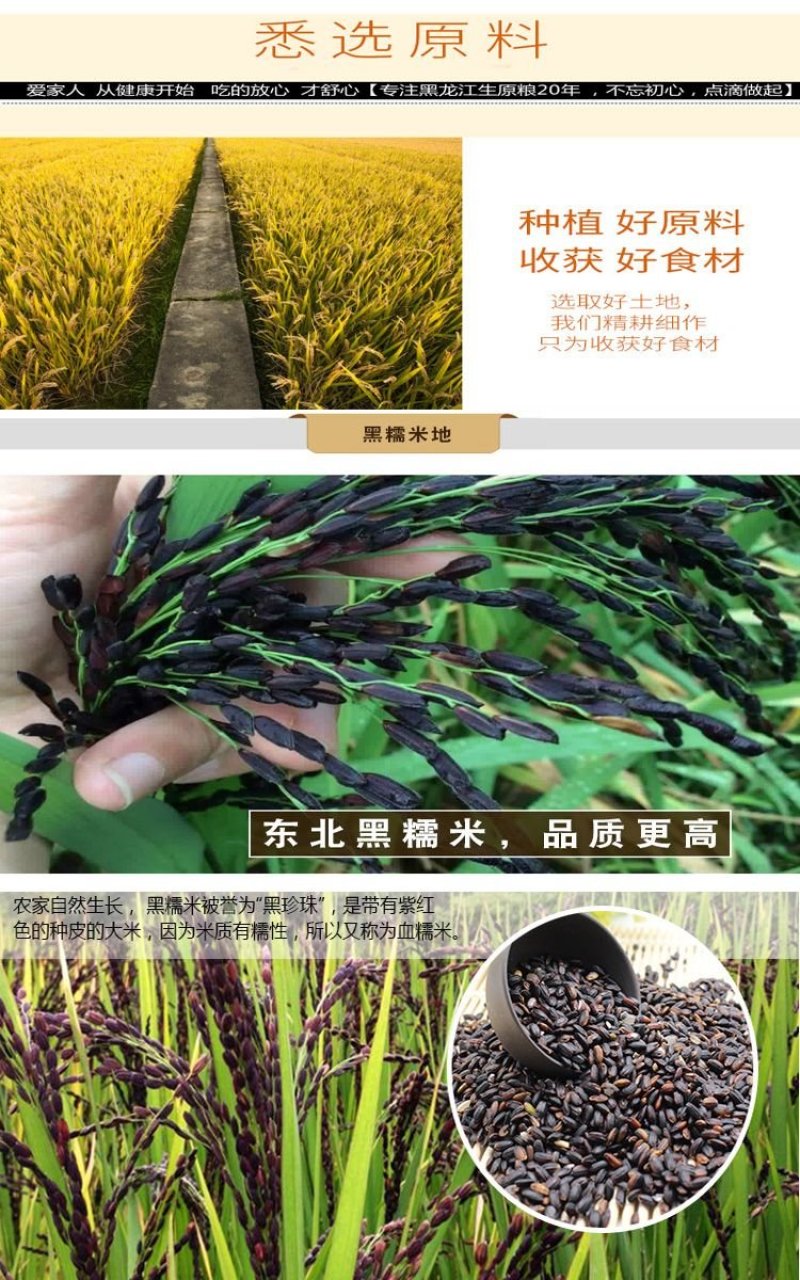 东北大米血糯米黑江米黑米黑黏香大米