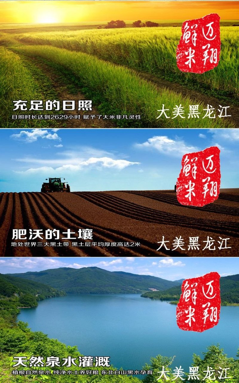 东北大米血糯米黑江米黑米黑黏香大米