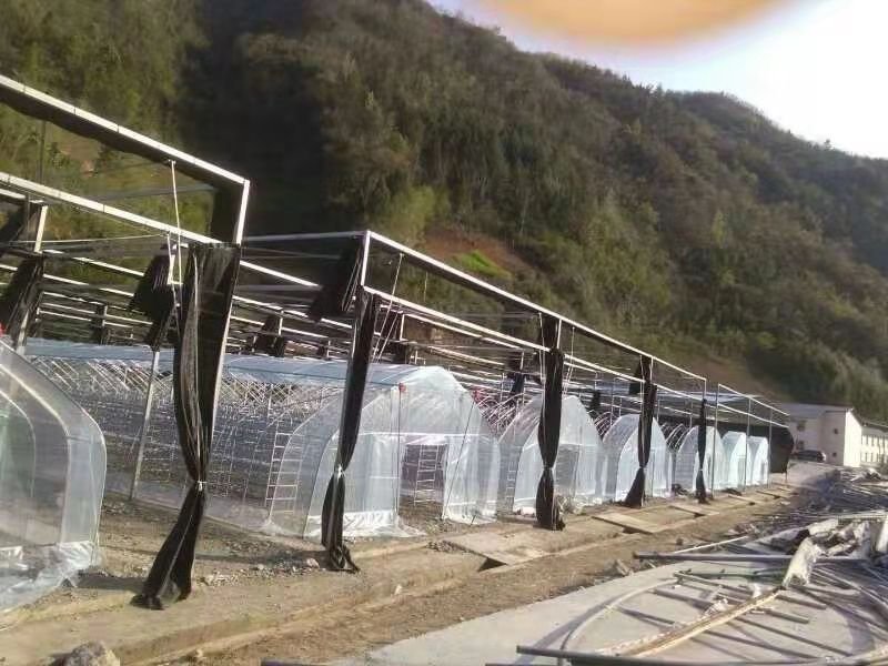 温室大棚安装与销售，设计