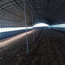 大棚骨架厂家各种蔬菜大棚4-18米大棚规格齐全