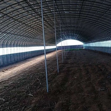 大棚骨架厂家各种蔬菜大棚4-18米大棚规格齐全