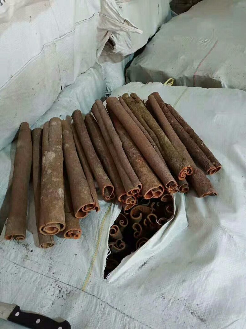 广西野生干桂皮批发，自产自销！一件代发！合作共赢！