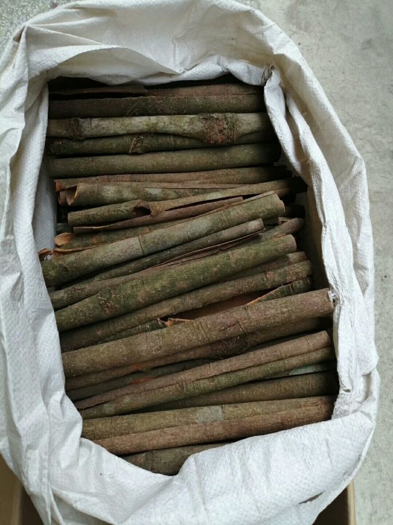 广西野生干桂皮批发，自产自销！一件代发！合作共赢！