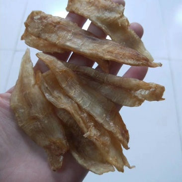 金龙鱼胶