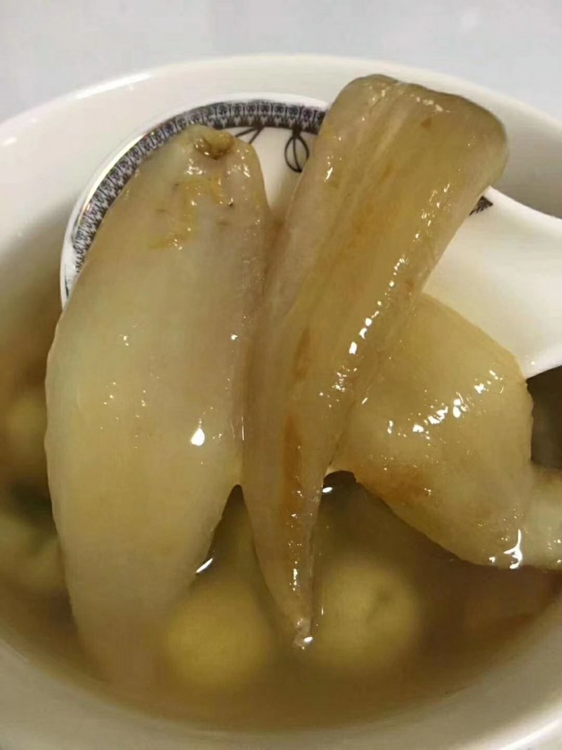 金龙鱼胶