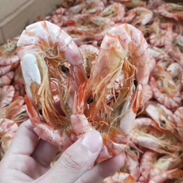 湛江硇洲天然虾干