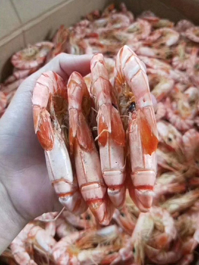 湛江硇洲天然虾干