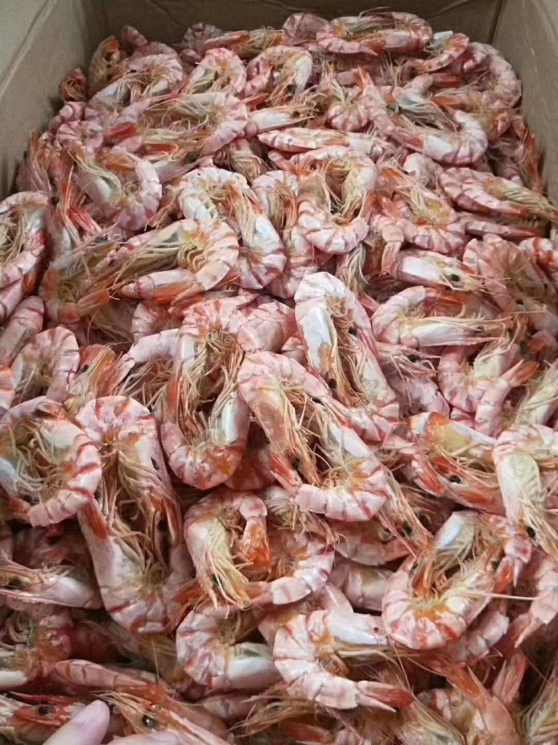 湛江硇洲天然虾干