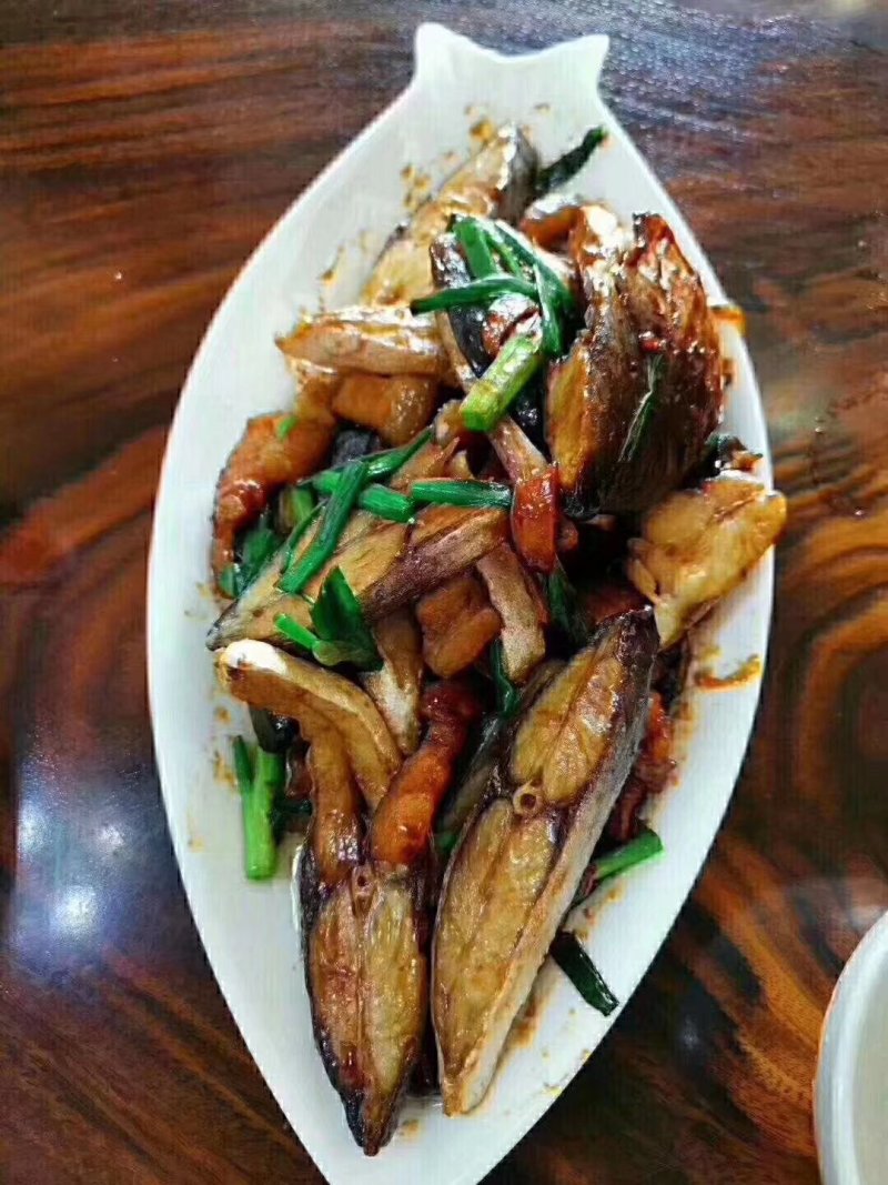 深海马鲛鱼/马友鱼