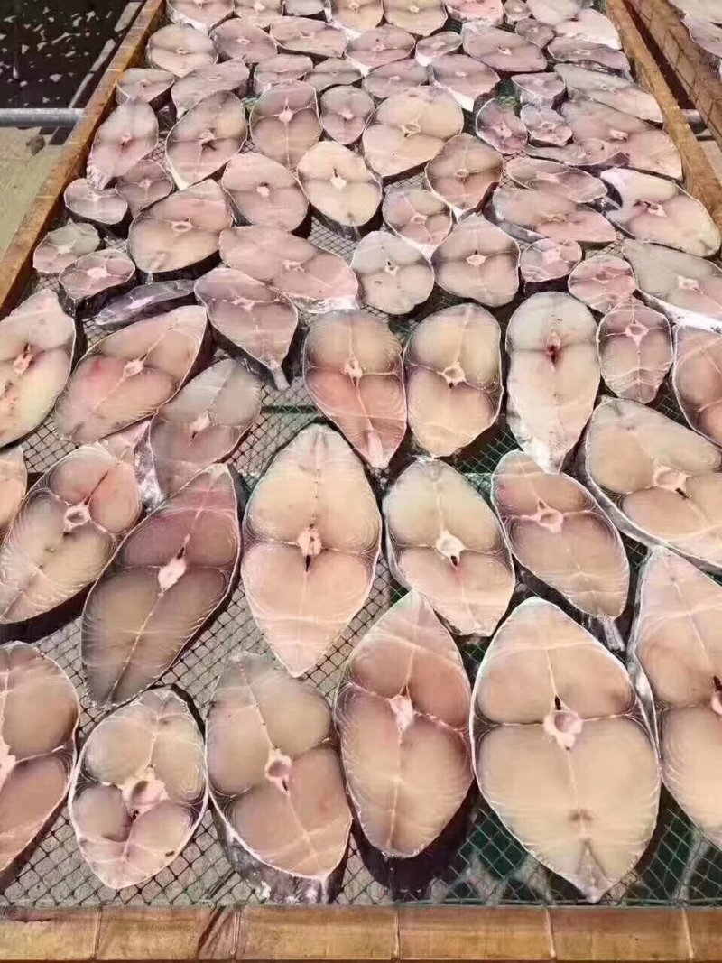 深海马鲛鱼/马友鱼