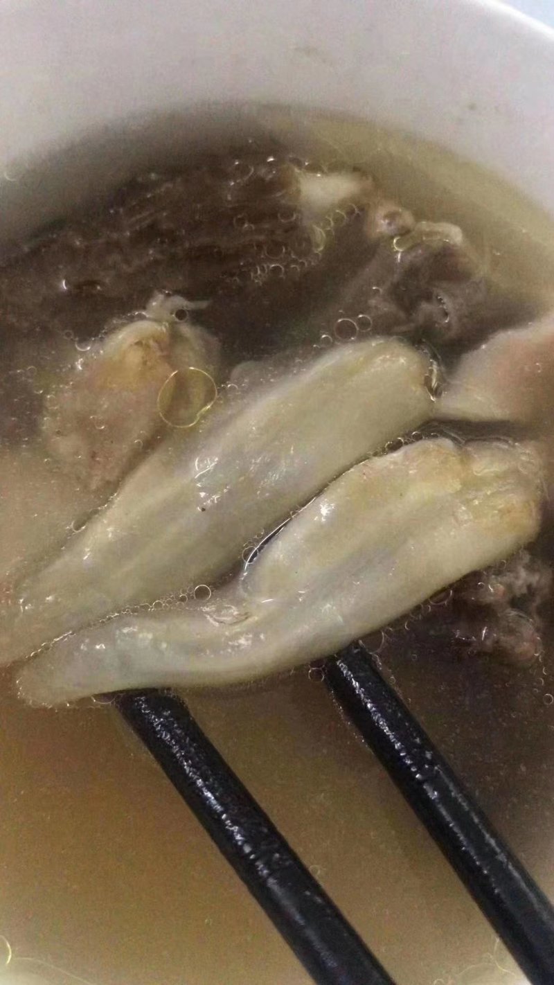 黄花鱼胶