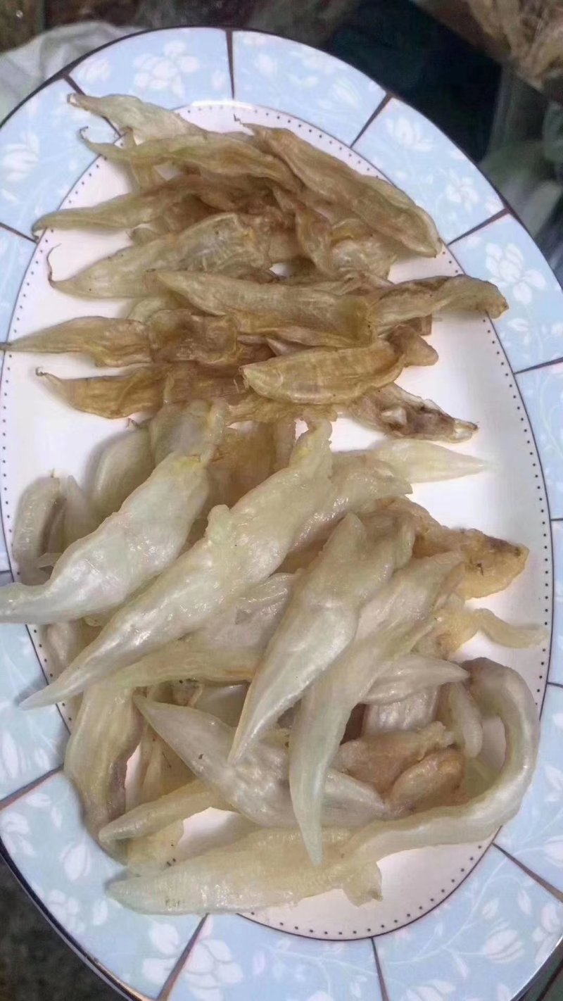 黄花鱼胶