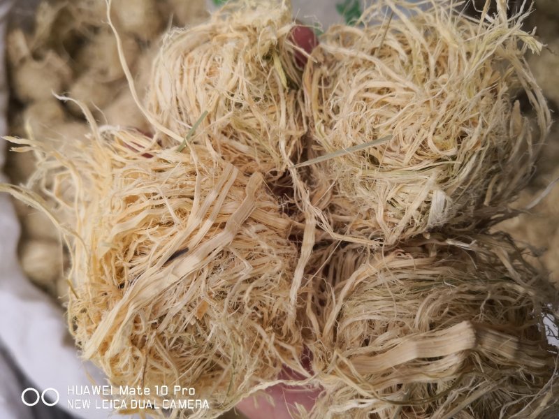 竹茹广西干货圆球量大从优经营各种中药材