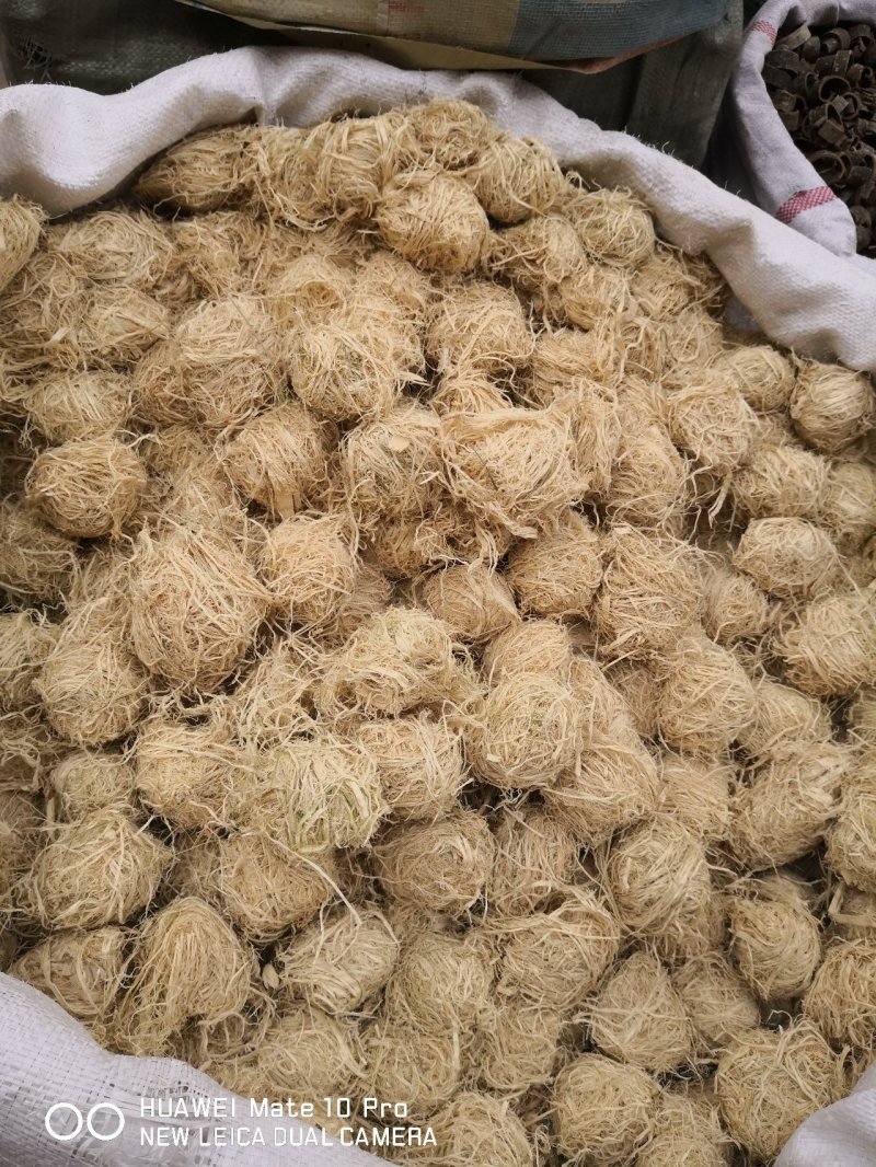 竹茹广西干货圆球量大从优经营各种中药材