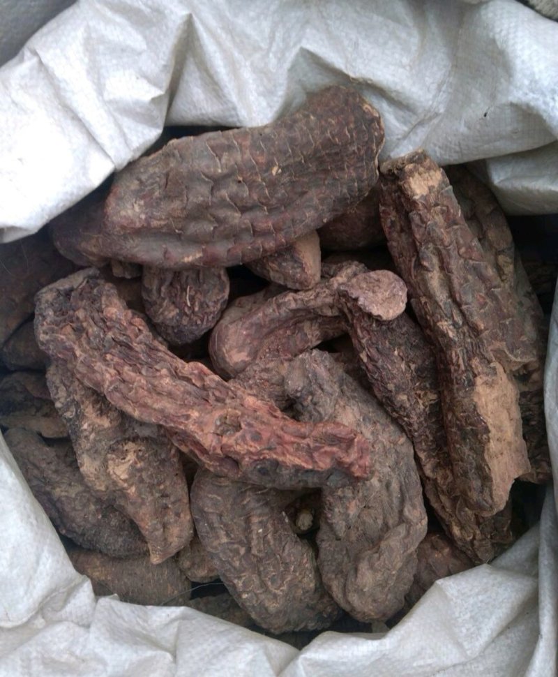 肉苁蓉也叫大芸干货选个子量大从优