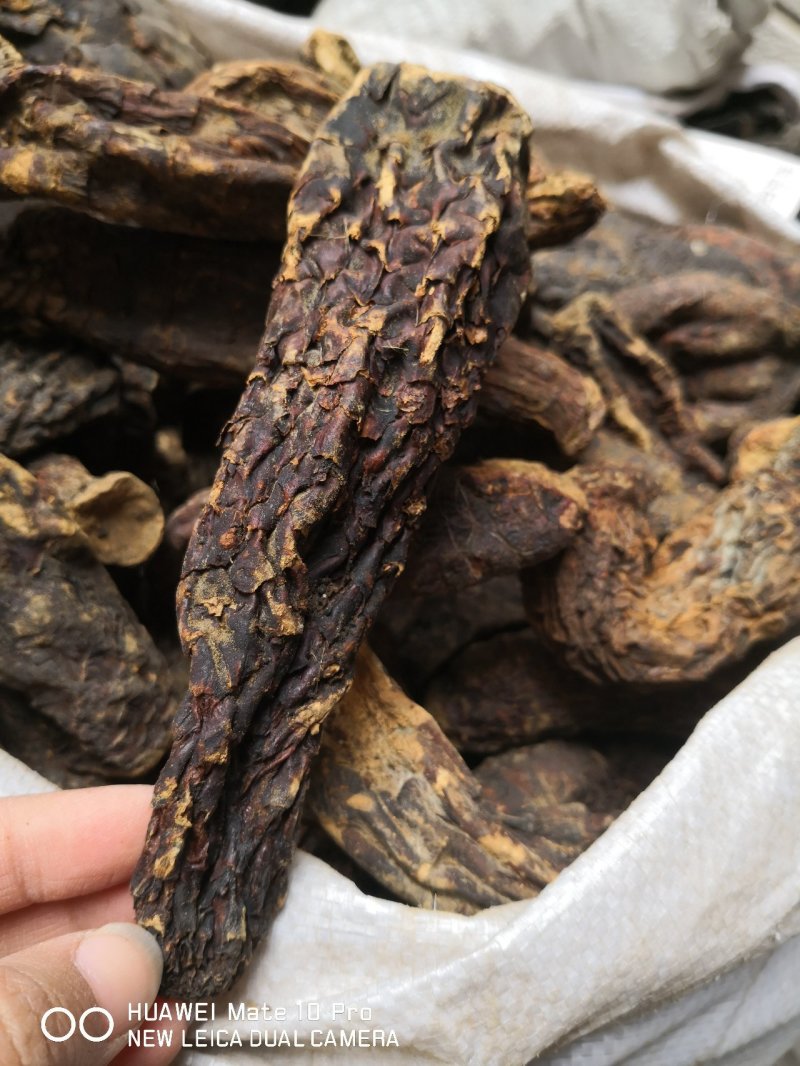 肉苁蓉也叫大芸干货选个子量大从优