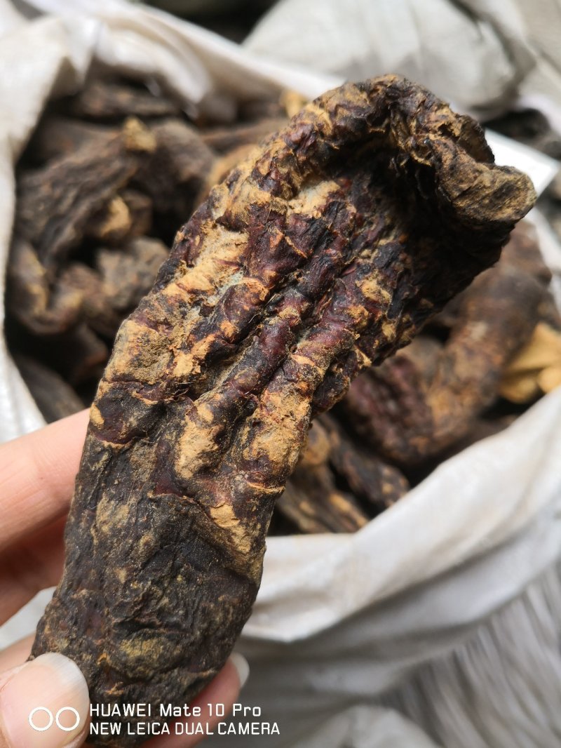 肉苁蓉也叫大芸干货选个子量大从优