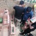 西瓜8斤打底9成熟1茬