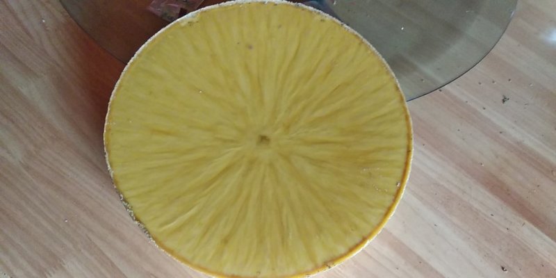 贵州铜仁纯净蜂蜡干货黄蜡天然蜜蜡干品白蜡产地直发一手货源