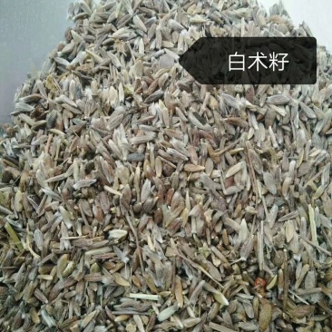 白术白术，白术