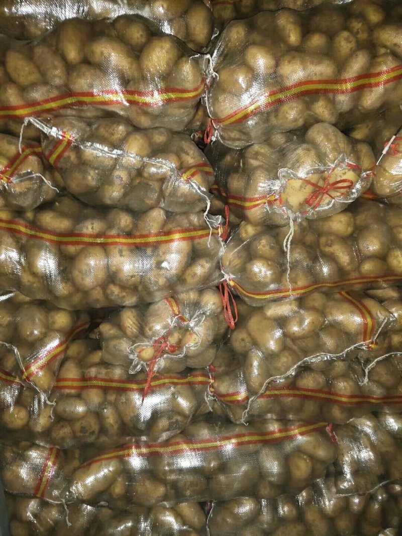 供应大量山东冷库箱装袋装土豆V7荷兰希森6欢迎洽谈