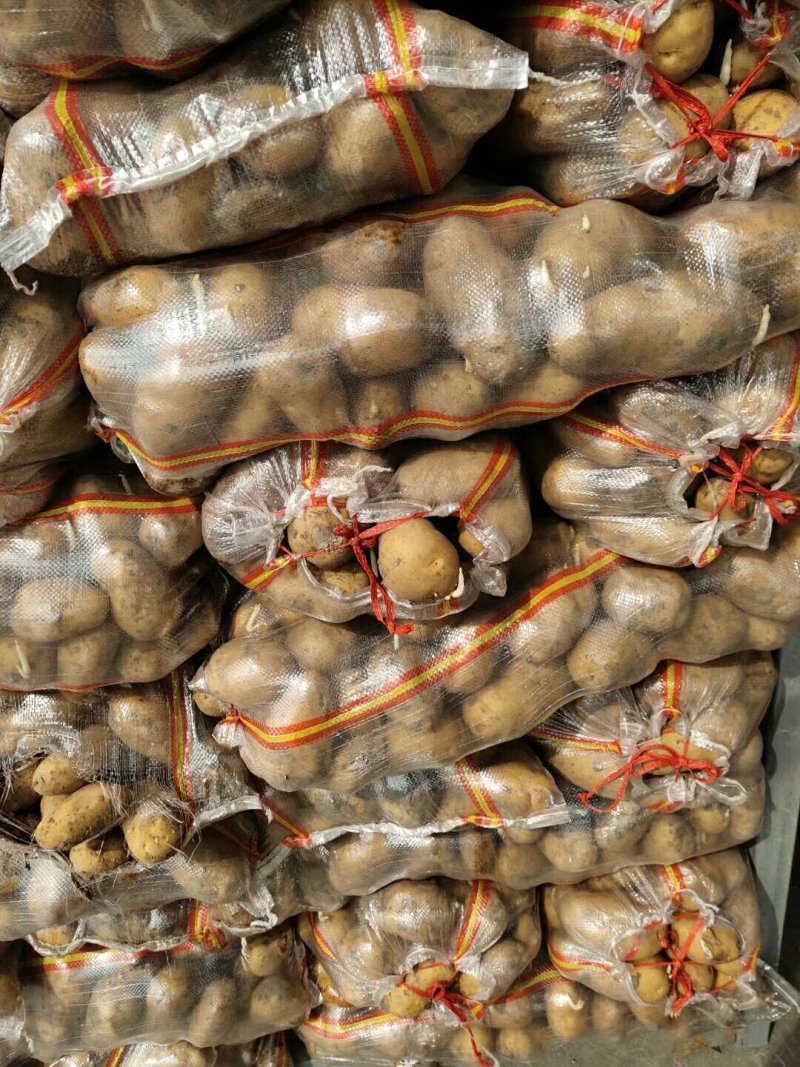 供应大量山东冷库箱装袋装土豆V7荷兰希森6欢迎洽谈