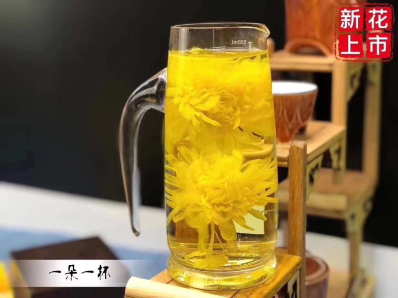 皇菊