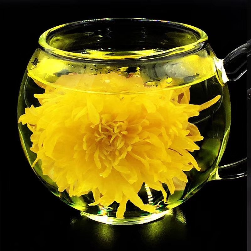 皇菊