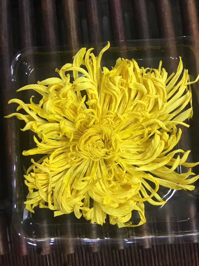 皇菊
