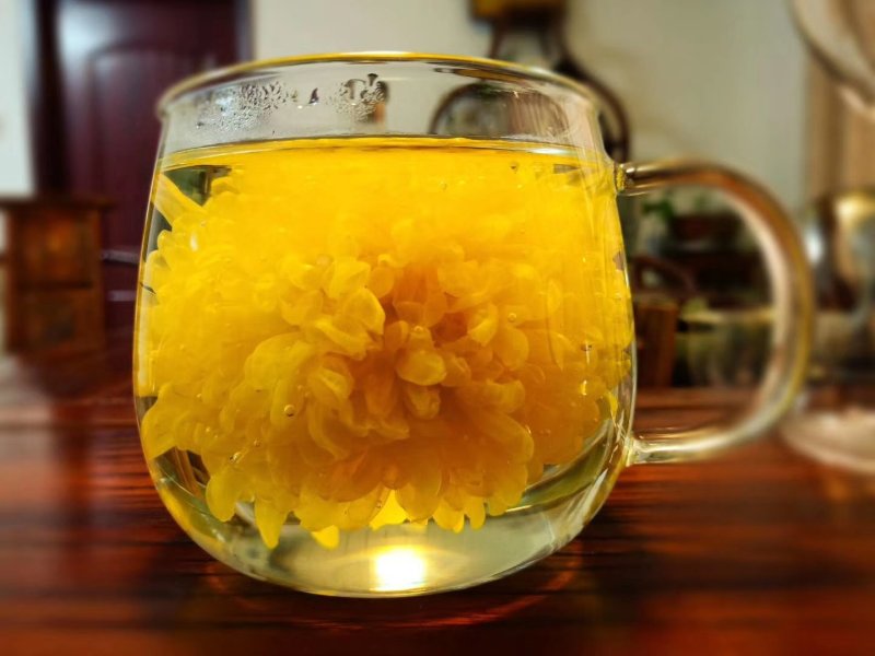 皇菊