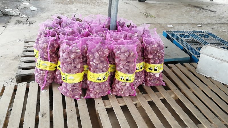 邳州大蒜新蒜干蒜发往全国各地！