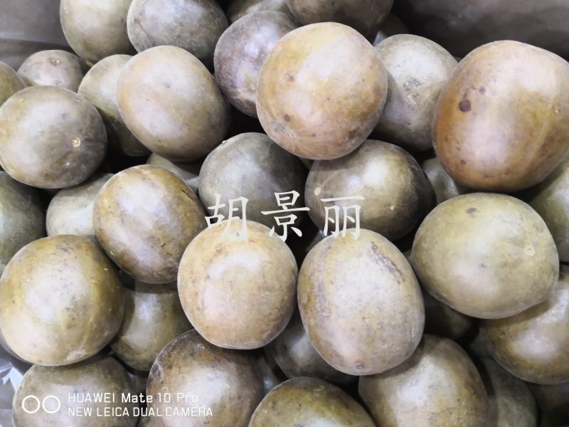 药用罗汉果大个广西干货泡水喝20个起包邮