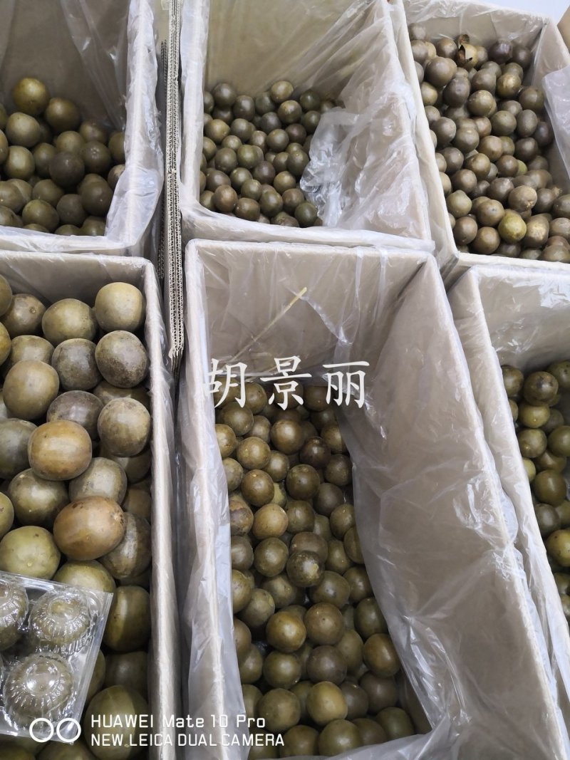 药用罗汉果大个广西干货泡水喝20个起包邮