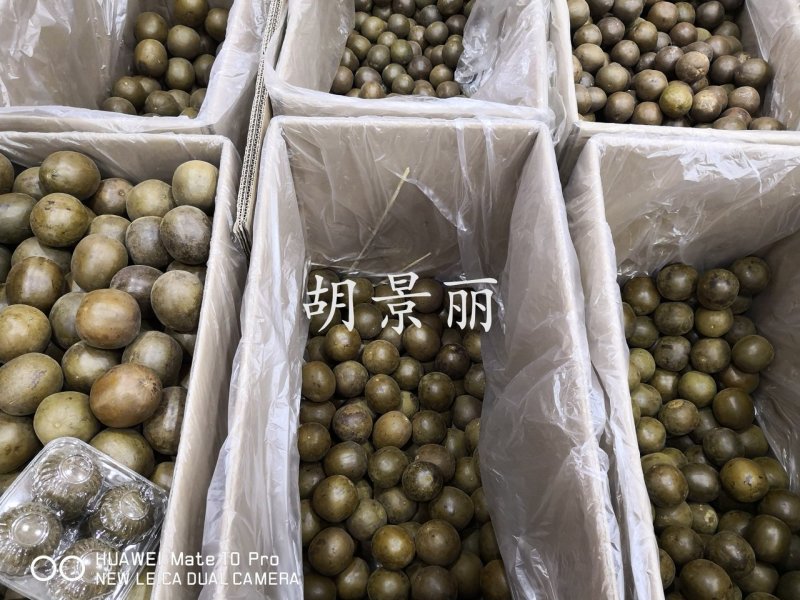 药用罗汉果大个广西干货泡水喝20个起包邮