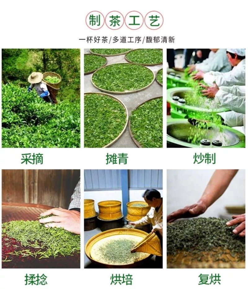 黄山毛峰二级