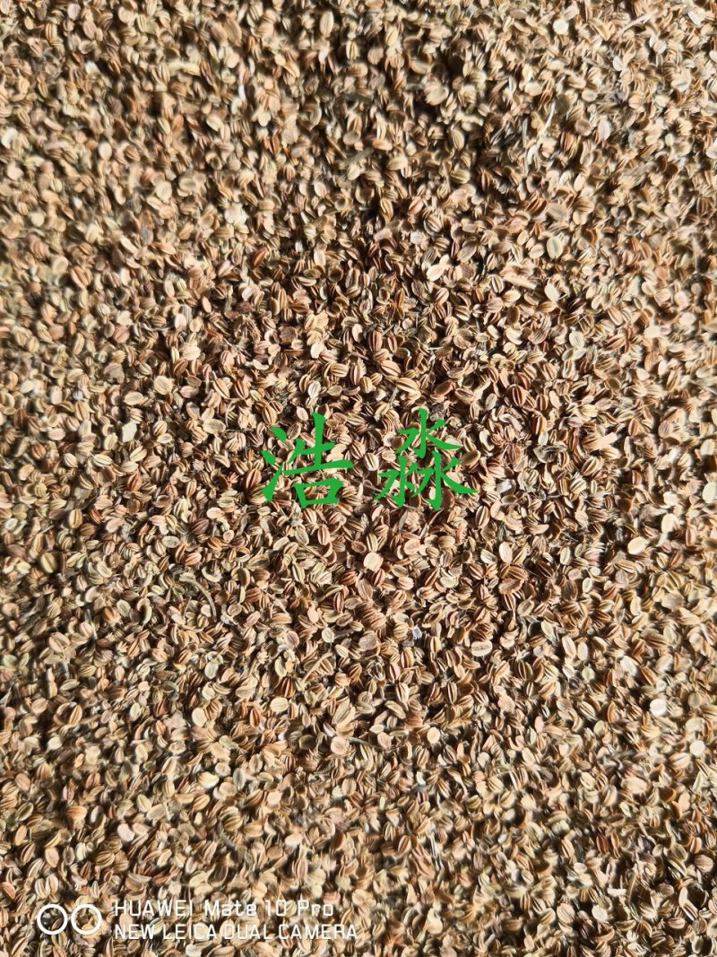 蛇床子中药材过筛选货干货量大从优