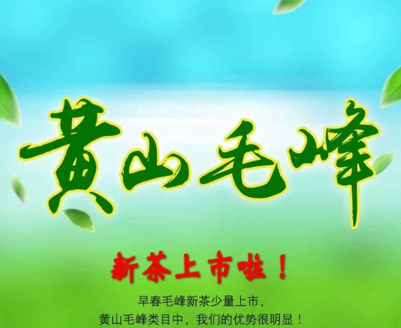 黄山毛峰茶叶一级