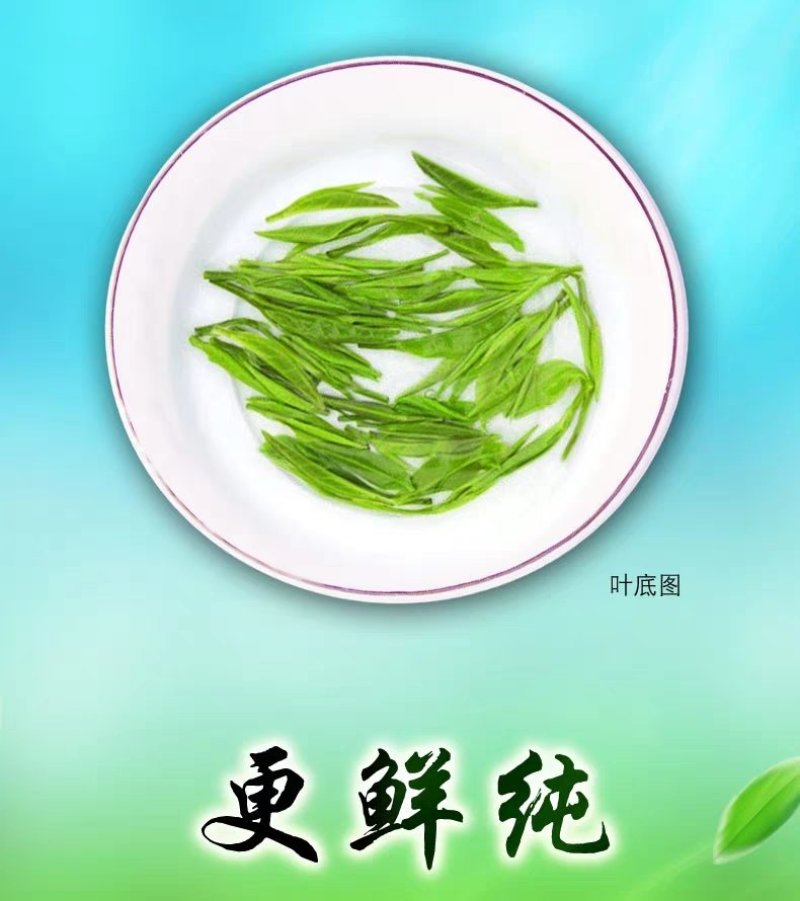 黄山毛峰茶叶一级