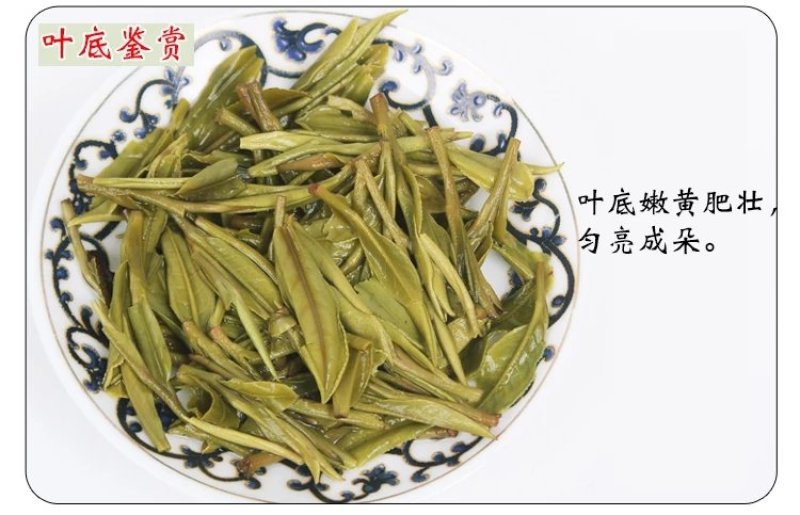 黄山毛峰茶叶一级