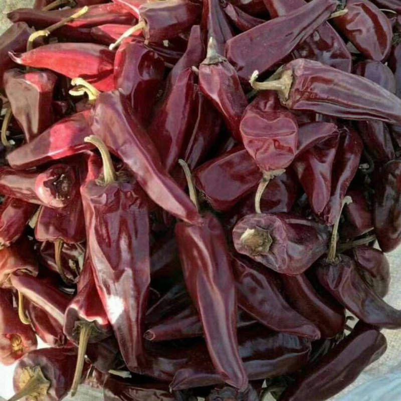北京红干辣椒9成干以上精品产地直销色度好