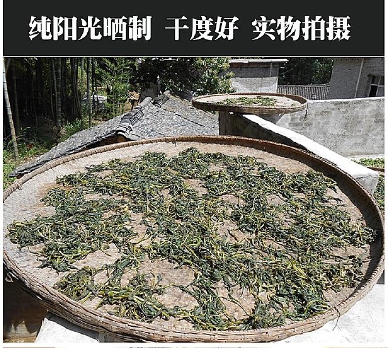 野生苦菜干