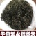 野生苦菜干